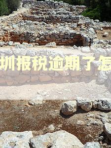 深圳报税逾期了怎么办 深圳报税逾期了怎么办