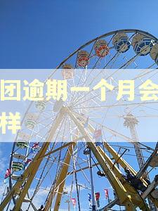 美团逾期一个月会怎么样