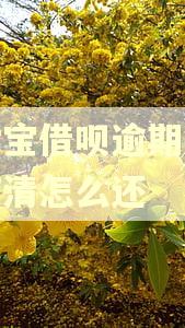 支付宝借呗逾期一次性结清怎么还