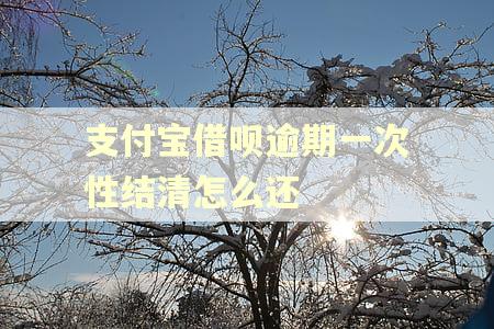 支付宝借呗逾期一次性结清怎么还
