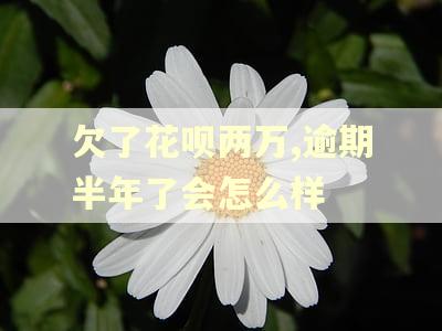 欠了花呗两万,逾期半年了会怎么样