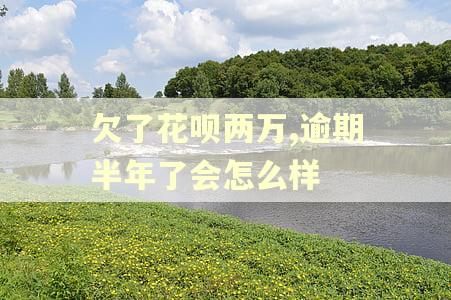 欠了花呗两万,逾期半年了会怎么样