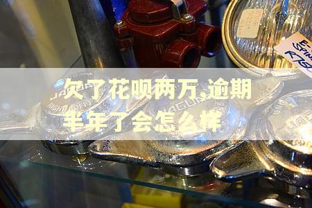欠了花呗两万,逾期半年了会怎么样