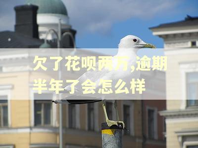 欠了花呗两万,逾期半年了会怎么样
