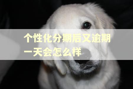 个性化分期后又逾期一天会怎么样