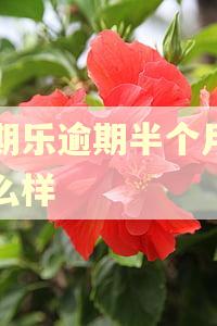 分期乐逾期半个月会怎么样