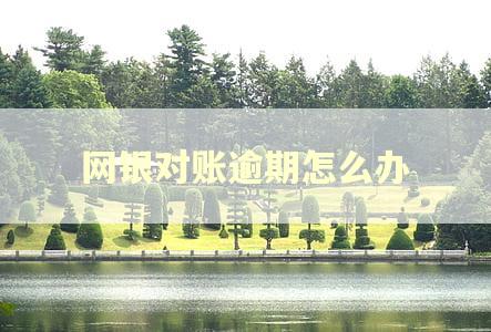 网银对账逾期怎么办