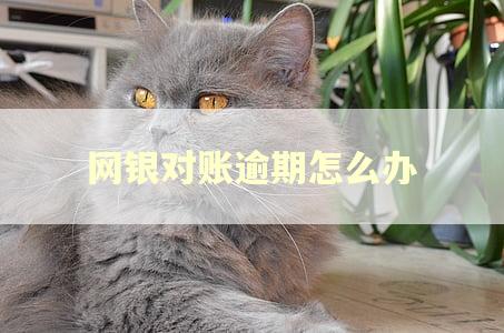 网银对账逾期怎么办