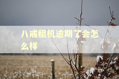 八戒租机逾期了会怎么样
