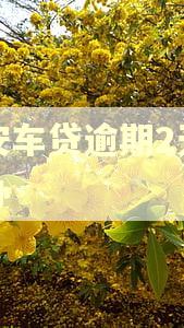 平安车贷逾期2天怎么办 平安车贷逾期2天怎么办