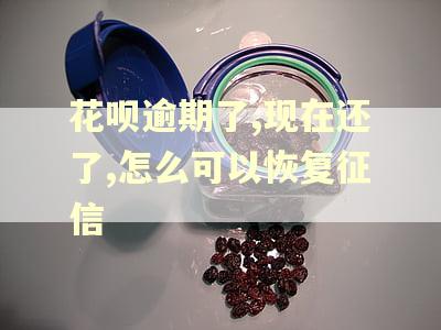 花呗逾期了,现在还了,怎么可以恢复征信