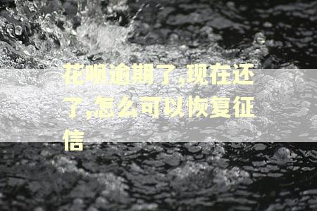花呗逾期了,现在还了,怎么可以恢复征信