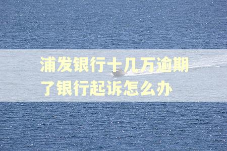 浦发银行十几万逾期了银行起诉怎么办