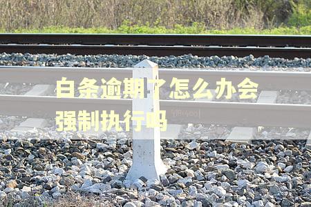 白条逾期了怎么办会强制执行吗