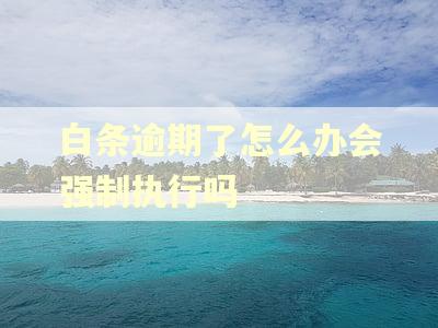 白条逾期了怎么办会强制执行吗