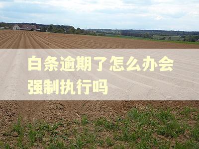 白条逾期了怎么办会强制执行吗