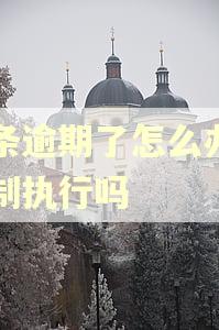 白条逾期了怎么办会强制执行吗
