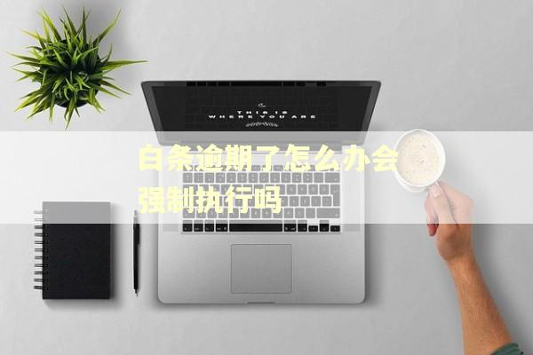 白条逾期了怎么办会强制执行吗
