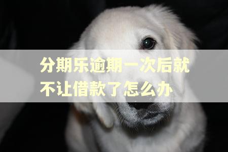 分期乐逾期一次后就不让借款了怎么办