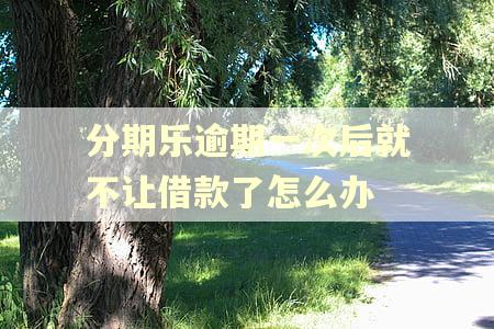 分期乐逾期一次后就不让借款了怎么办