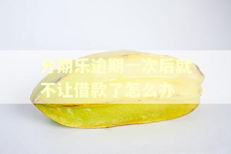分期乐逾期一次后就不让借款了怎么办