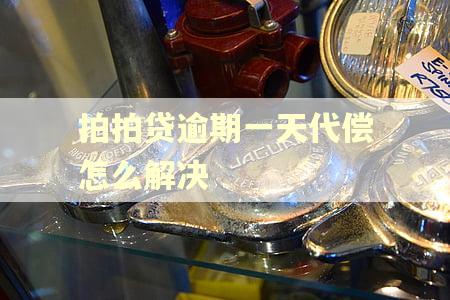 拍拍贷逾期一天代偿怎么解决