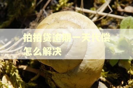 拍拍贷逾期一天代偿怎么解决