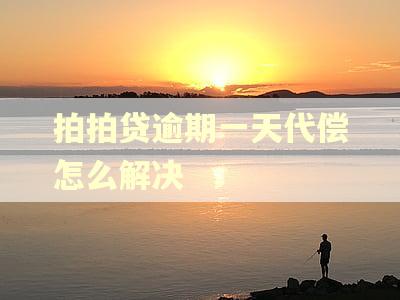 拍拍贷逾期一天代偿怎么解决
