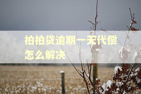 拍拍贷逾期一天代偿怎么解决