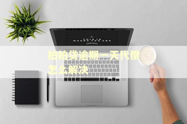 拍拍贷逾期一天代偿怎么解决