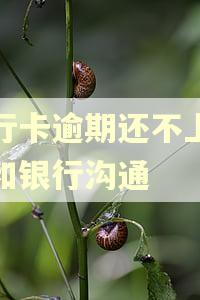 银行卡逾期还不上怎么和银行沟通