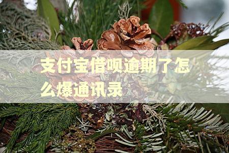 支付宝借呗逾期了怎么爆通讯录 支付宝借呗逾期了怎么爆通讯录