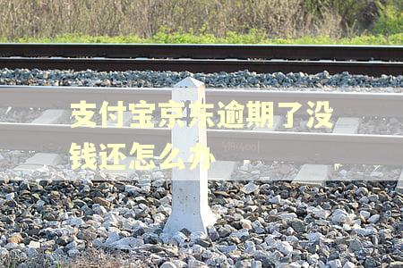 支付宝京东逾期了没钱还怎么办 支付宝京东逾期了没钱还怎么办