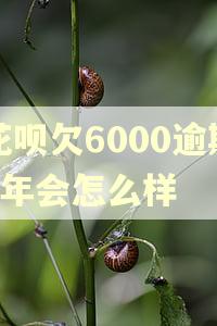 花呗欠6000逾期1年会怎么样