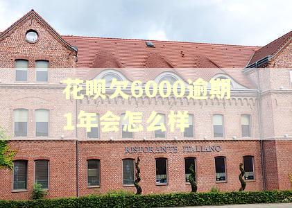 花呗欠6000逾期1年会怎么样 花呗欠6000逾期1年会怎么样