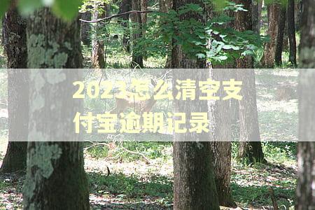 2023怎么清空支付宝逾期记录