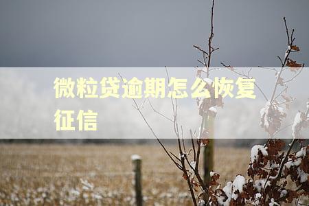 微粒贷逾期怎么恢复征信