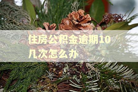 住房公积金逾期10几次怎么办