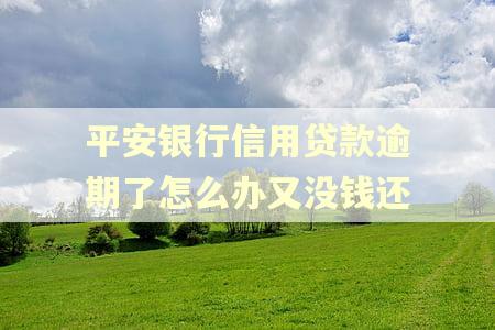 平安银行信用贷款逾期了怎么办又没钱还