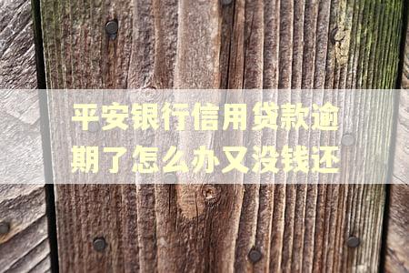 平安银行信用贷款逾期了怎么办又没钱还