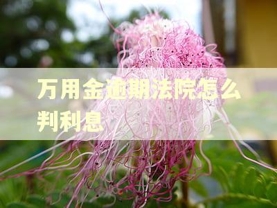 万用金逾期法院怎么判利息
