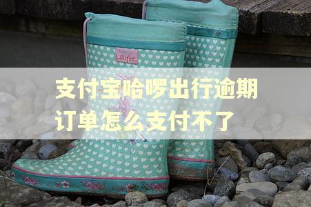 支付宝哈啰出行逾期订单怎么支付不了