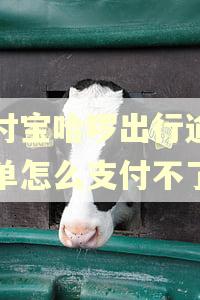 支付宝哈啰出行逾期订单怎么支付不了 支付宝哈啰出行逾期订单怎么支付不了