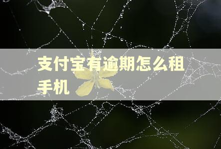 支付宝有逾期怎么租手机 支付宝有逾期怎么租手机