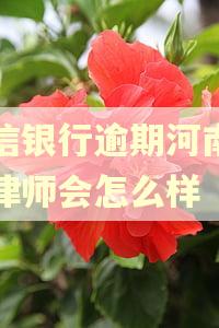 中信银行逾期河南英泰律师会怎么样
