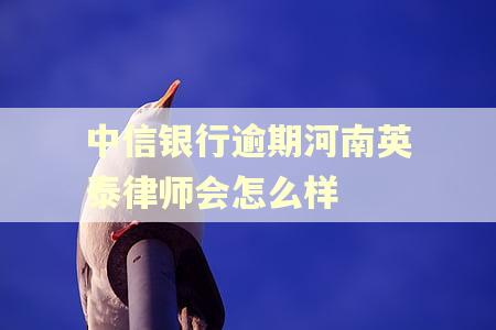 中信银行逾期河南英泰律师会怎么样