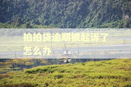 拍拍贷逾期被起诉了怎么办