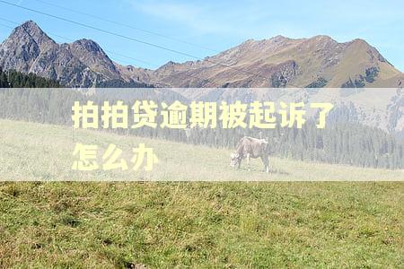 拍拍贷逾期被起诉了怎么办 拍拍贷逾期被起诉了怎么办