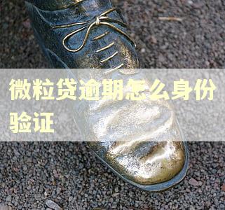 微粒贷逾期怎么身份验证