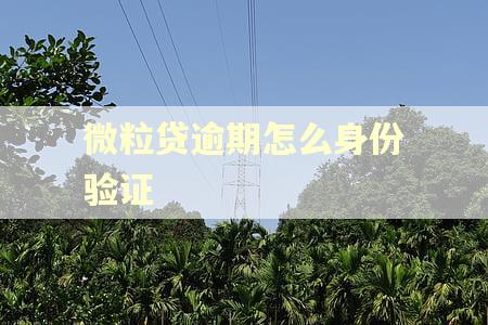 微粒贷逾期怎么身份验证
